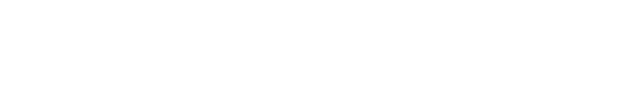 Logo-SBTL-fara-slogan_orizontal_alb-2048x292
